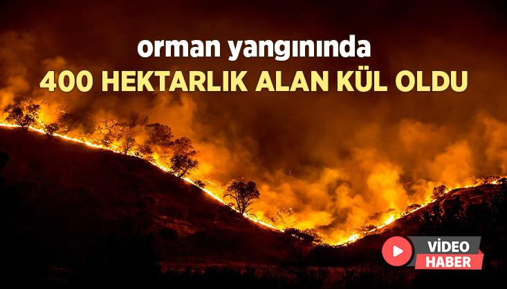 Orman Yangınında 400 Hektarlık Alan Kül Oldu