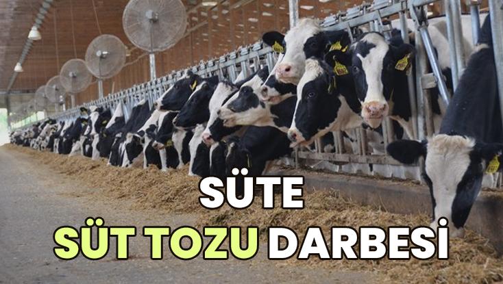 Süte Süt Tozu Darbesi