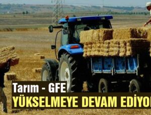 Tarım-Gfe Yükselmeye Devam Ediyor