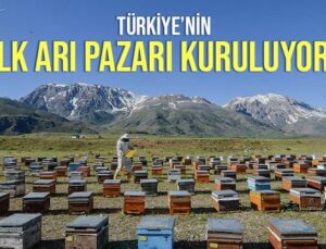 Türkiye’nin Ilk Arı Pazarı Kuruluyor