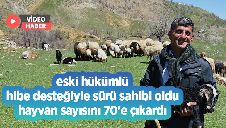 Eski Hükümlü Hibe Desteğiyle Sürü Sahibi Oldu