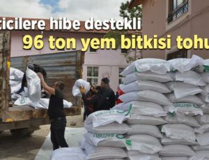 Üreticilere Hibe Destekli 96 Ton Yem Bitkisi Tohumu