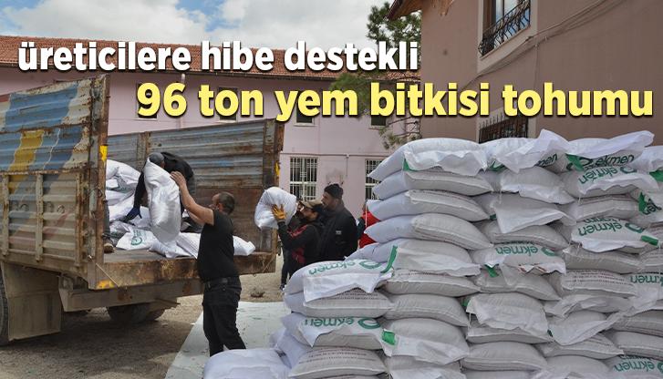 Üreticilere Hibe Destekli 96 Ton Yem Bitkisi Tohumu