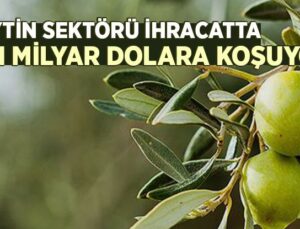 Zeytin Sektörü Ihracatta 1 Milyar Dolara Koşuyor