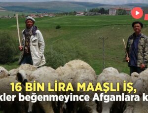 16 Bin Lira Maaşlı Iş, Türkler Beğenmeyince Afganlara Kaldı