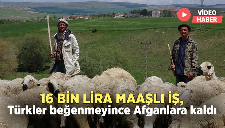 16 Bin Lira Maaşlı Iş, Türkler Beğenmeyince Afganlara Kaldı