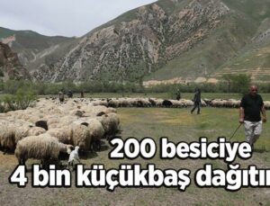 200 Besiciye 4 Bin Küçükbaş Hayvan Dağıtımı