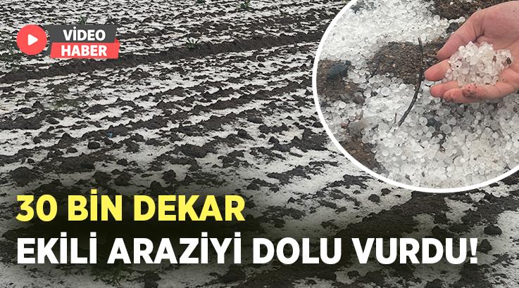 30 Bin Dekar Ekili Arazi Doludan Zarar Gördü