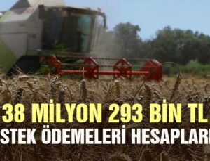 38 Milyon 293 Bin Tl Destek Ödemesi Hesaplara Aktarıldı