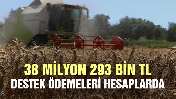 38 Milyon 293 Bin Tl Destek Ödemesi Hesaplara Aktarıldı