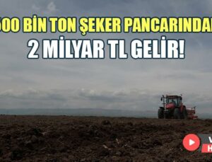 500 Bin Ton Şeker Pancarından 2 Milyar Tl Gelir Bekleniyor