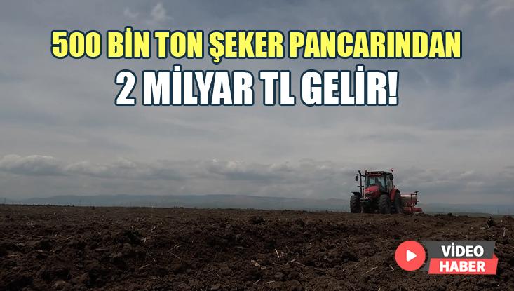 500 Bin Ton Şeker Pancarından 2 Milyar Tl Gelir Bekleniyor