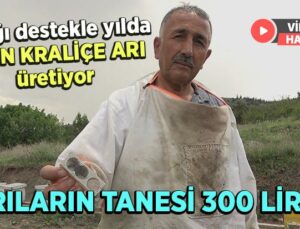 Aldığı Destekle Yılda 5 Bin Kraliçe Arı Üretiyor: Arıların Tanesi 300 Lira!