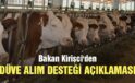 Bakan Kirişci’den düve alım desteği açıklaması