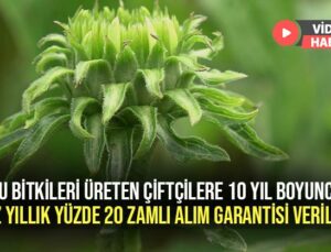 Bu Bitkileri Üreten Çiftçilere 10 Yıl Boyunca En Az Yıllık Yüzde 20 Zamlı Alım Garantisi Veriliyor!