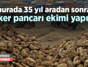 Burada 35 Yıl Aradan Sonra Şeker Pancarı Ekimi Yapıldı