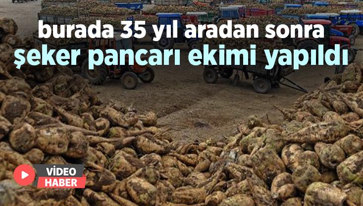 Burada 35 Yıl Aradan Sonra Şeker Pancarı Ekimi Yapıldı