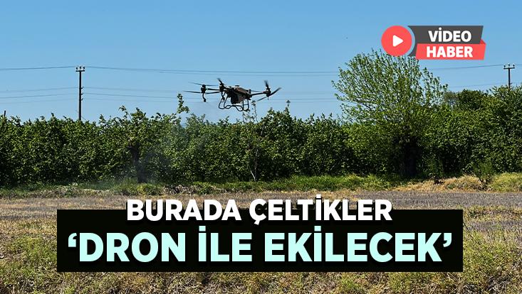 Burada Çeltikler Dron Ile Ekilecek