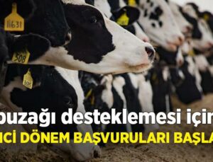 Buzağı Desteklemesi Için Ikinci Dönem Başvuruları Başladı!