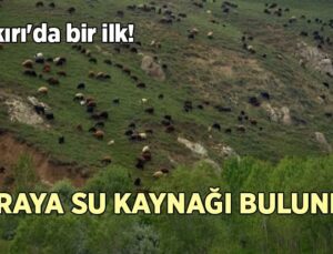 Çankırı’da Bir Ilk! Meraya Su Kaynağı Bulundu