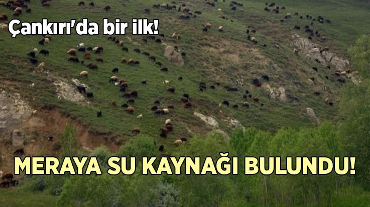 Çankırı’da Bir Ilk! Meraya Su Kaynağı Bulundu