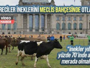 Çevreciler Ineklerini Meclis Bahçesinde Otlattı!