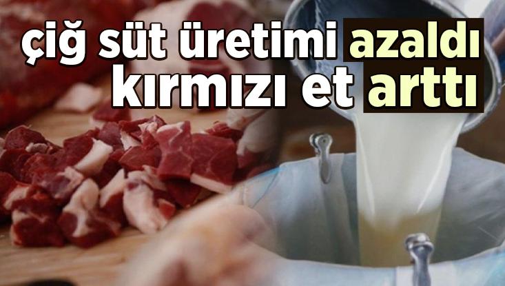 Çiğ Süt Üretimi Azaldı, Kırmızı Et Üretimi Arttı