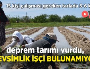 Deprem Tarımı Da Vurdu, Mevsimlik Işçi Bulunamıyor