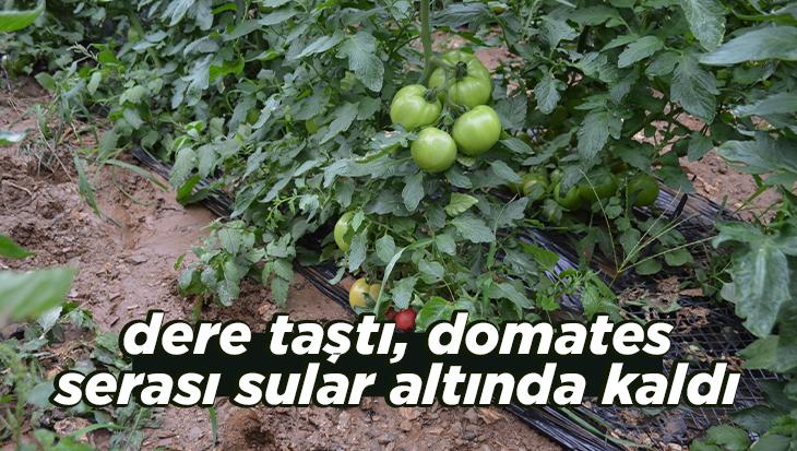 Dere Taştı, Domates Serası Sular Altında Kaldı