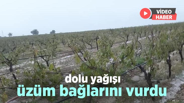 Dolu Yağışı Üzüm Bağlarını Vurdu