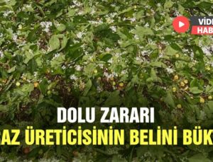 Dolu Zararı Kiraz Üreticisinin Belini Büktü