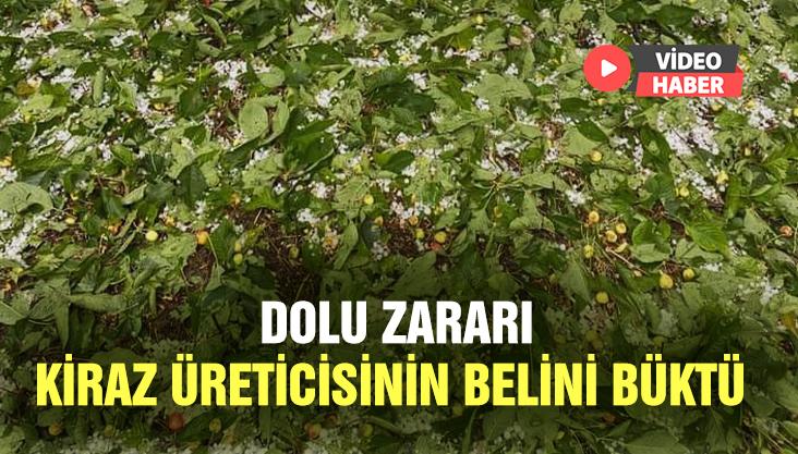 Dolu Zararı Kiraz Üreticisinin Belini Büktü