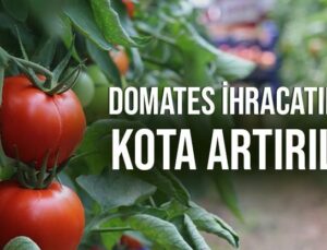 Domates Ihracatında Kota Artırıldı