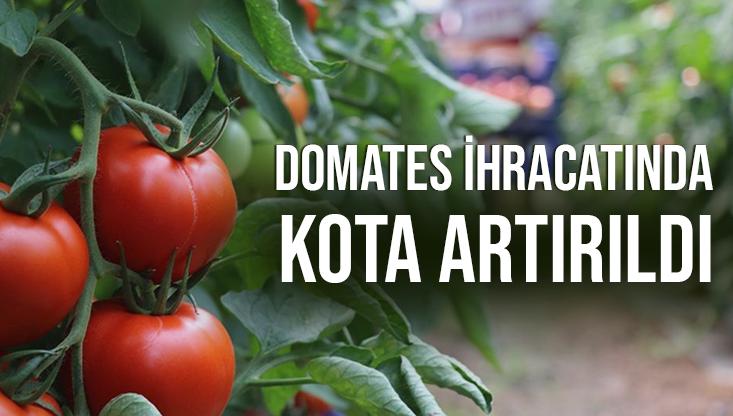 Domates Ihracatında Kota Artırıldı