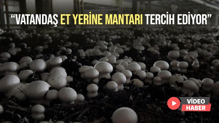 “Vatandaş Et Yerine Mantarı Tercih Ediyor”