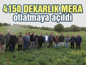 Gökçeada’Da 4150 Dekarlık Mera Otlatmaya Açıldı