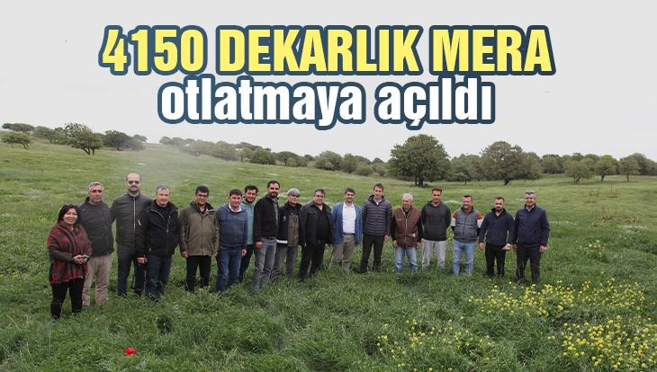 Gökçeada’Da 4150 Dekarlık Mera Otlatmaya Açıldı