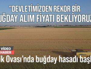 Hatay’Da Buğday Hasadı Başladı: “Devletimizden Rekor Bir Buğday Alım Fiyatı Bekliyoruz”