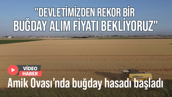 Hatay’Da Buğday Hasadı Başladı: “Devletimizden Rekor Bir Buğday Alım Fiyatı Bekliyoruz”