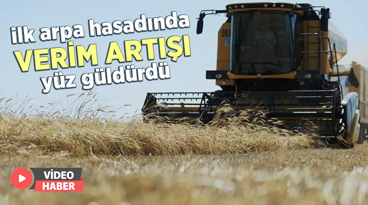 İlk Arpa Hasadında Verim Artışı Çiftçinin Yüzünü Güldürdü