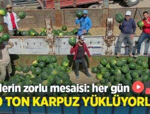İşçilerin Zorlu Mesaisi: Adana Sıcağında Her Gün 150 Ton Karpuz Yüklüyorlar