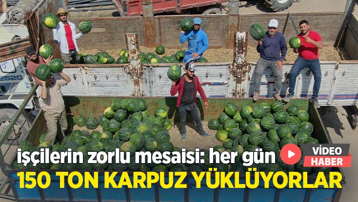 İşçilerin Zorlu Mesaisi: Adana Sıcağında Her Gün 150 Ton Karpuz Yüklüyorlar