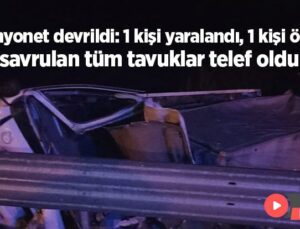 Kamyonet Devrildi: 1 Kişi Yaralandı, 1 Kişi Öldü Savrulan Tüm Tavuklar Telef Oldu