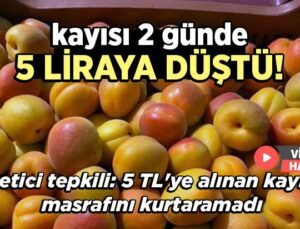 Kayısı 2 Günde 5 Liraya Düştü, Üretici Tepki Gösterdi