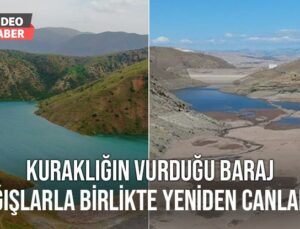 Kuraklığın Vurduğu Baraj Yağışlarla Birlikte Yeniden Canlandı