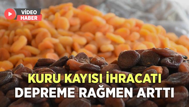 Kuru Kayısı Ihracatı Depreme Rağmen Arttı