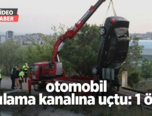 Otomobil Sulama Kanalına Uçtu: 1 Ölü