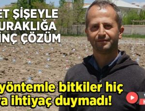 Pet Şişeyle Kuraklığa Ilginç Çözüm: Bu Yöntemle Bitkiler Hiç Suya Ihtiyaç Duymadı!