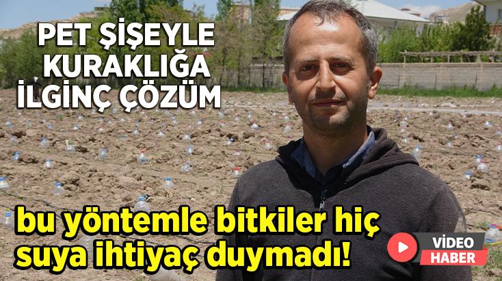 Pet Şişeyle Kuraklığa Ilginç Çözüm: Bu Yöntemle Bitkiler Hiç Suya Ihtiyaç Duymadı!