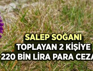 Salep Soğanı Toplayan 2 Kişiye 220 Bin Lira Para Cezası